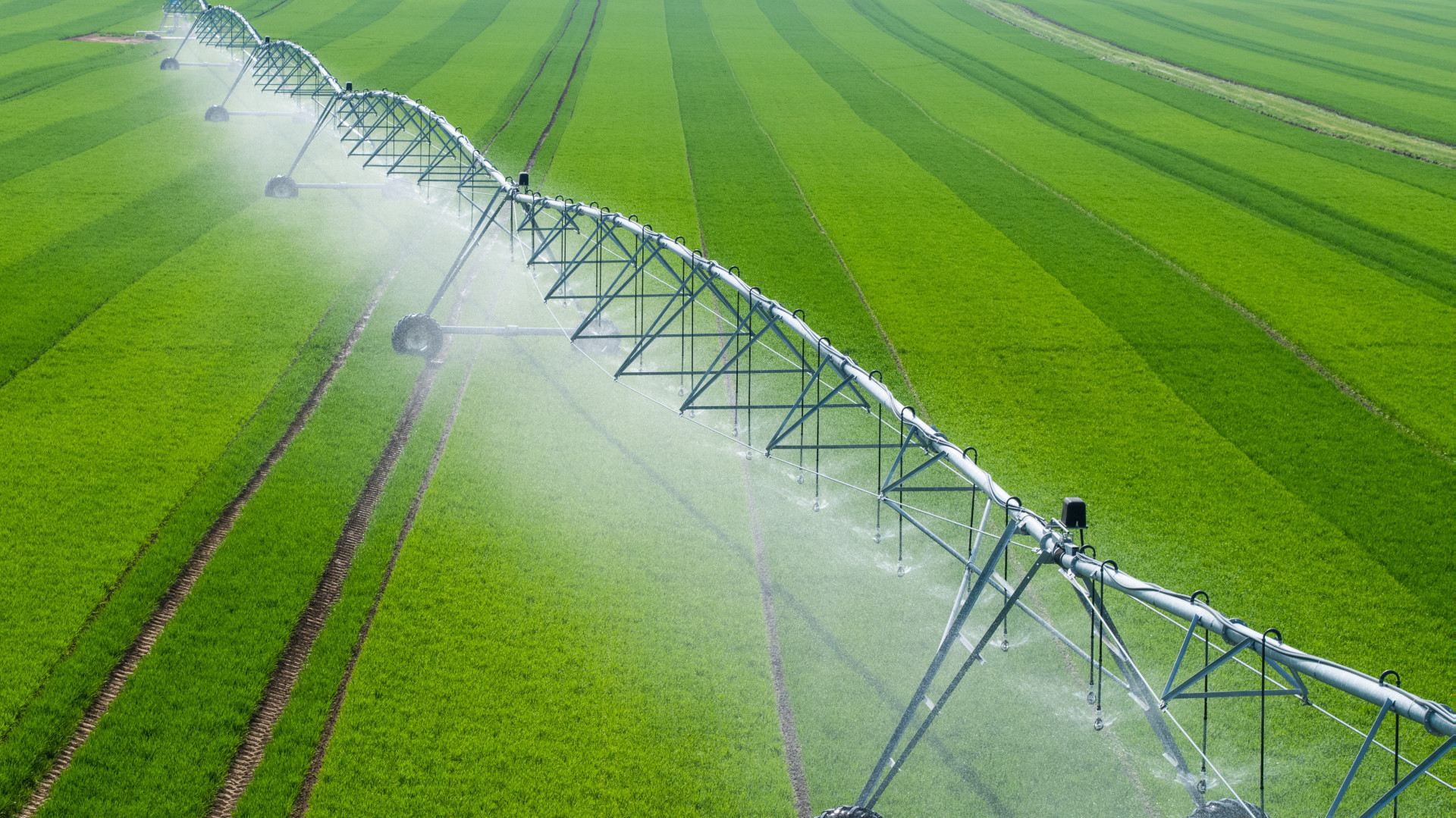 Center pivot irrigation system in a green field